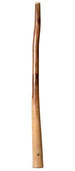 Wix Stix Didgeridoo (WS343)